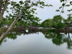 -无锡蠡湖国家湿地公园-蠡园