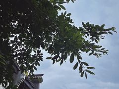 -磁器口古镇