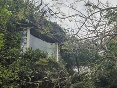 -海上田园