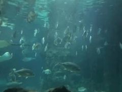 -南昌海洋公园