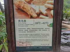 -三亚珠江南田温泉度假区