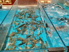 -艳阳天·非遗楚菜(武汉客厅店)