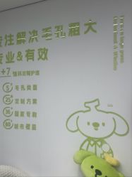 -凡碧诗毛孔清洁收细