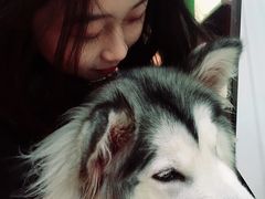 -李小姐の猫咖啡馆(五角场店)