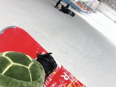 -绍兴启迪乔波冰雪世界