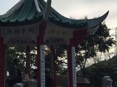 -狮子山郊野公园