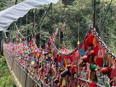 -西双版纳原始森林公园