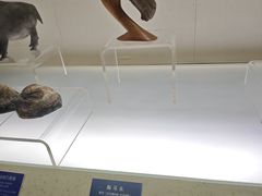 -旅顺博物馆