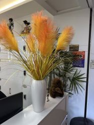 点击看大图 -HaLo hair studio