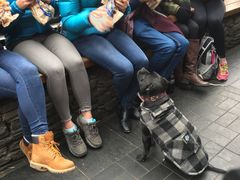 -Fergburger(皇后镇店)