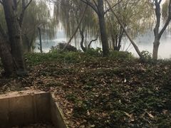 门面-食膳公园包子铺(烈士公园店)