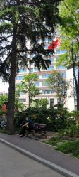 -河南中医药大学第一附属医院-医疗整形
