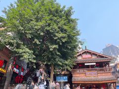 -重庆十八梯传统风貌区