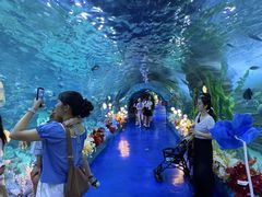 -海合安成都极地海洋公园