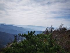 -王顺山国家森林公园