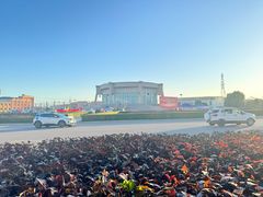 -特克斯八卦城