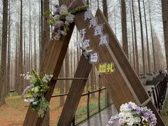 -黄海国家森林公园