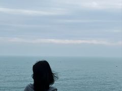 -广东惠东海龟国家级自然保护区