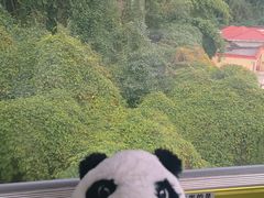 -黔灵山公园