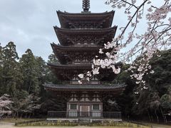-醍醐寺