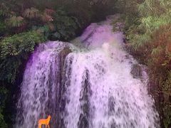 -天河潭旅游度假区
