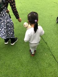 -萌宠亲子动物乐园(槐房万达店)