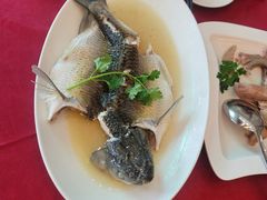 -云顶山庄·粤菜·农家菜(共和店)