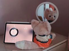 -迪士尼小镇