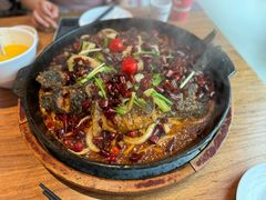 -老板恋上鱼(恒隆广场店)