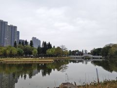 -映月湖公园