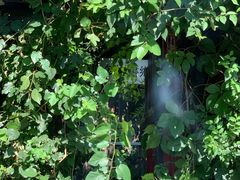 -斯多格书乡(北京大学畅春园店)