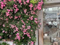 -Vanillacafe香草咖啡(银海大世界店)