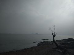 -巢湖姥山岛