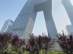 -中央广播电视总台(光华路办公区)