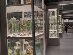 -北京中医药大学-中医药博物馆