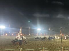 -胖大嫂渔家排档·全海景餐厅(渔村店)