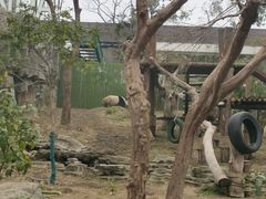 -武汉动物园