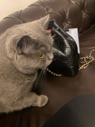 点击看大图 -飛凡TATTOO纹身•原创