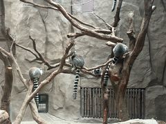 -武汉动物园