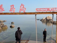 -养马岛旅游度假区