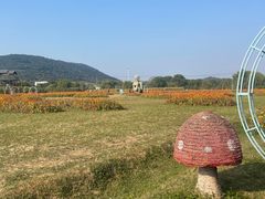 -苏州太湖西山岛开心农场