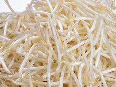 豆芽-渣男纸包鱼(学院路店)