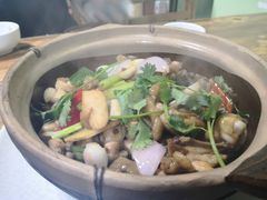 -大富蚝乌东哥饭店·石锅鱼杂·柠檬鸭(革新路店)