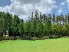 -上海长兴岛郊野公园