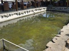 -京北渔家傲