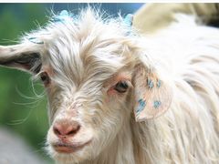 -互助北山国家地质公园漂流