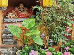 -园林美食城·本土农家菜(杨和镇店)