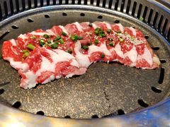 -杨记齐齐哈尔烤肉(总店)