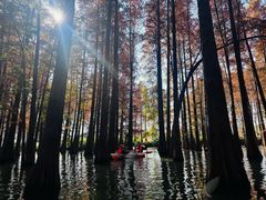 -星湖旅游景区七星岩