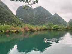 -靖西鹅泉风景区